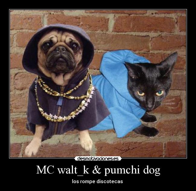 MC walt_k & pumchi dog -