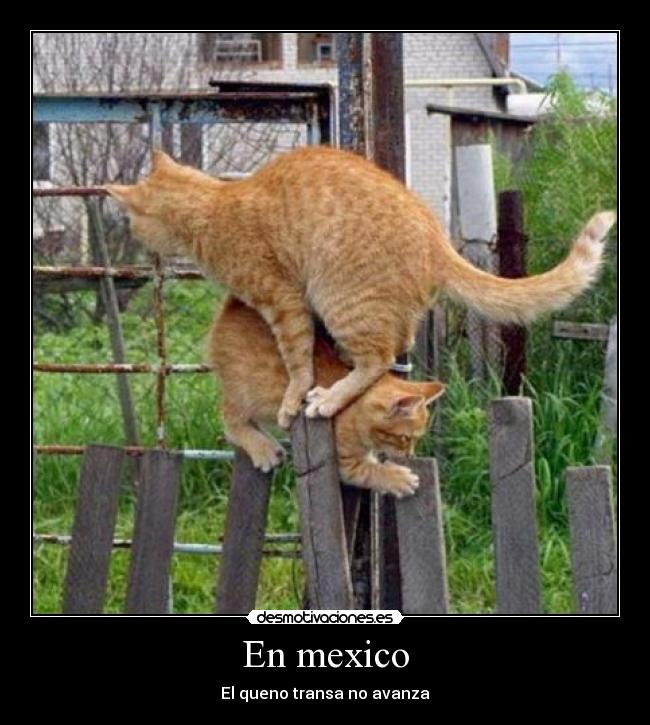 carteles mexico wwwdesmotivacioneses desmotivaciones