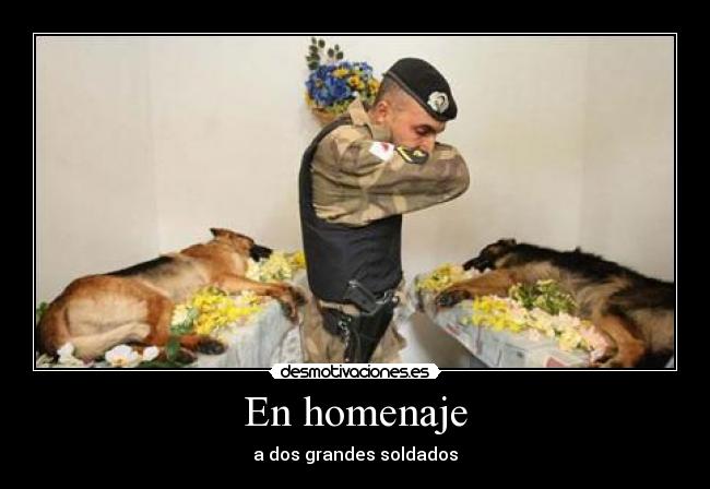 En homenaje -
