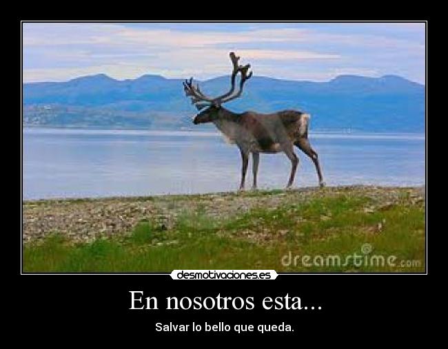 En nosotros esta... - 