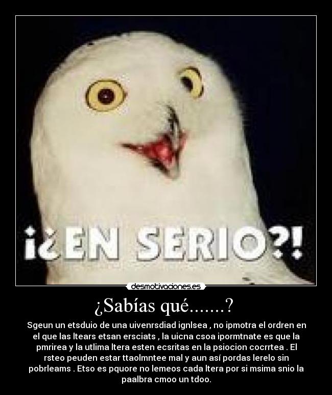 ¿Sabías qué.......?  - Sgeun un etsduio de una uivenrsdiad ignlsea , no ipmotra el ordren en
el que las ltears etsan ersciats , la uicna csoa ipormtnate es que la
pmrirea y la utlima ltera esten ecsritas en la psiocion cocrrtea . El
rsteo peuden estar ttaolmntee mal y aun así pordas lerelo sin
pobrleams . Etso es pquore no lemeos cada ltera por si msima snio la
paalbra cmoo un tdoo.