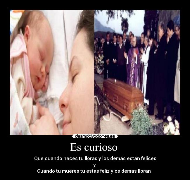 Es curioso  - 