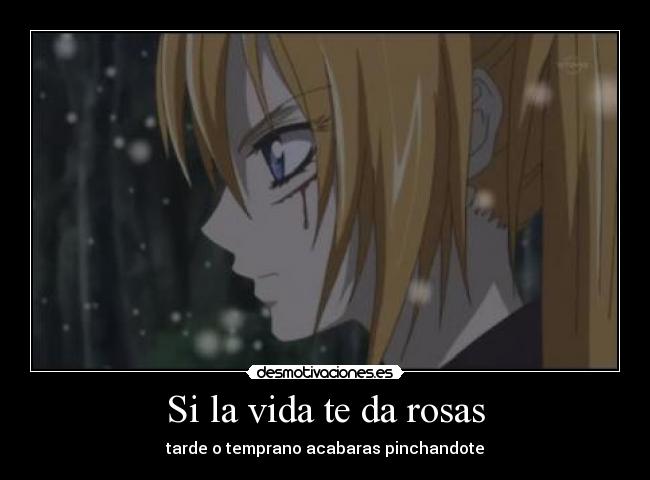 Si la vida te da rosas -