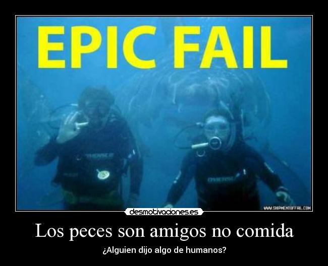 Los peces son amigos no comida -