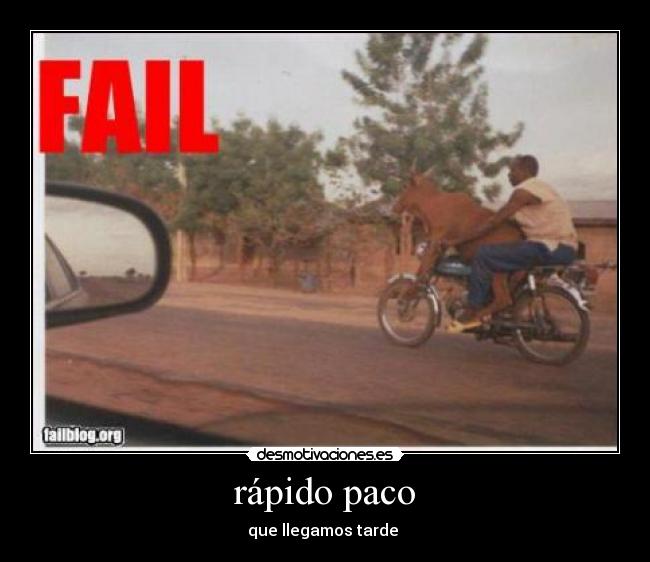 rápido paco -