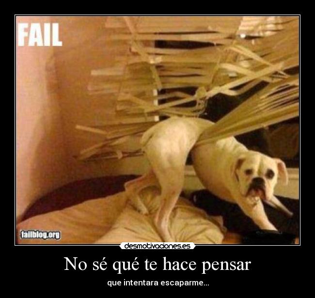 No sé qué te hace pensar - que intentara escaparme...