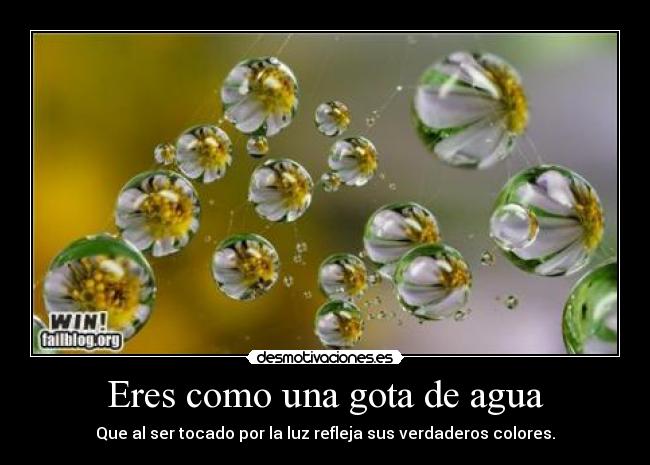 Eres como una gota de agua -