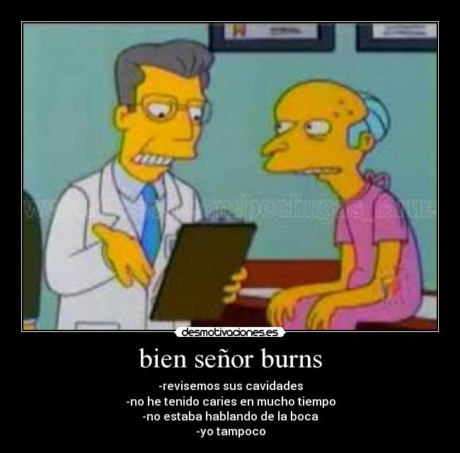 bien señor burns - 