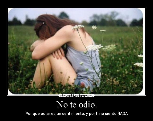 No te odio. - Por que odiar es un sentimiento, y por ti no siento NADA