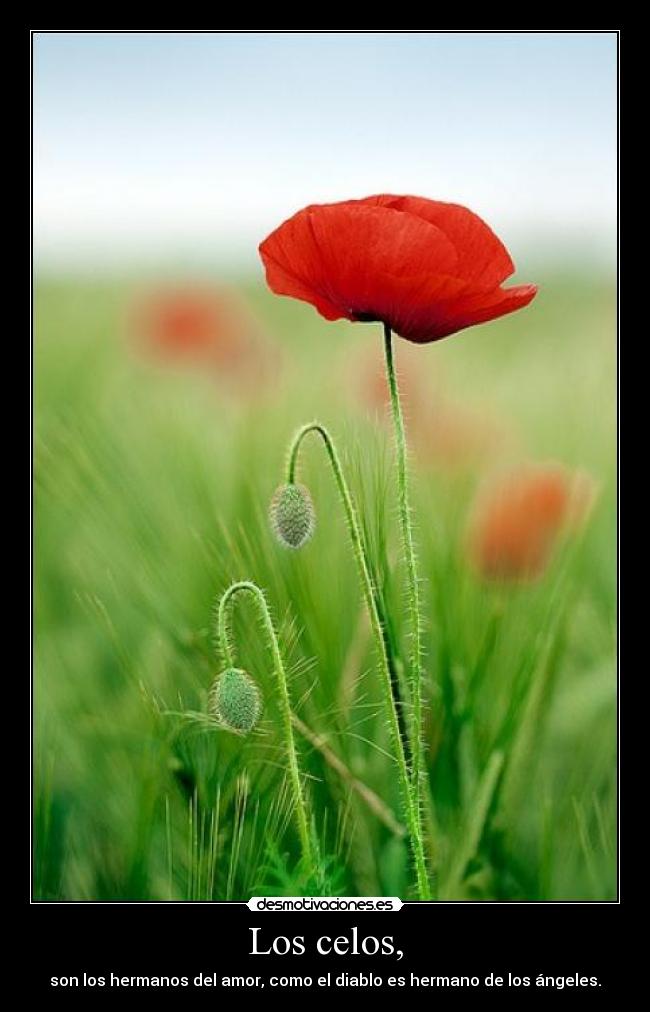 Los celos, - son los hermanos del amor, como el diablo es hermano de los ángeles.
