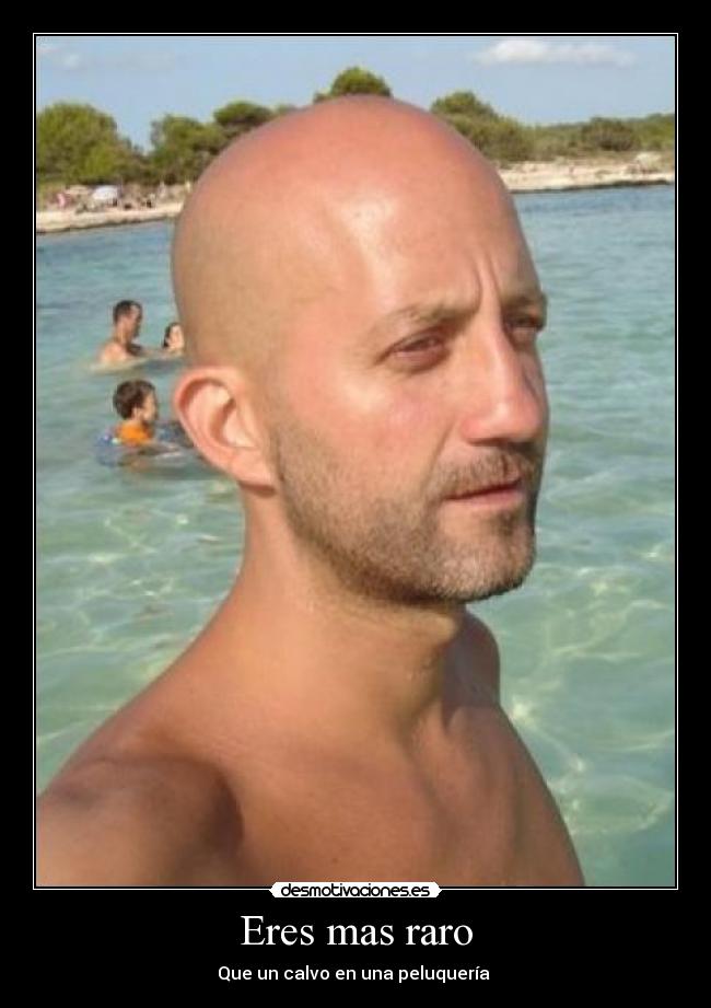 carteles httpwwwtaringanethector97villa raro calvo peluqueria extrano cortar pelo error 404 desmotivaciones