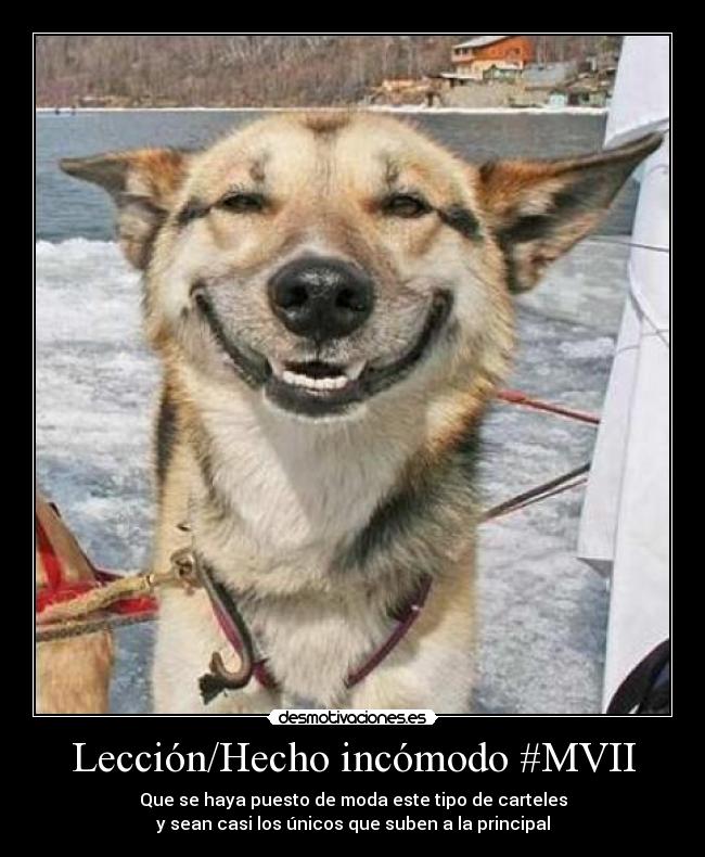 Lección/Hecho incómodo #MVII - Que se haya puesto de moda este tipo de carteles
y sean casi los únicos que suben a la principal