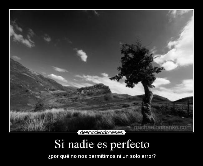 Si nadie es perfecto -