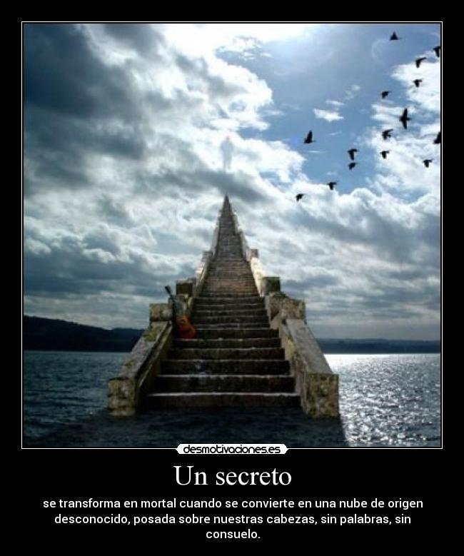 carteles secreto desmotivaciones