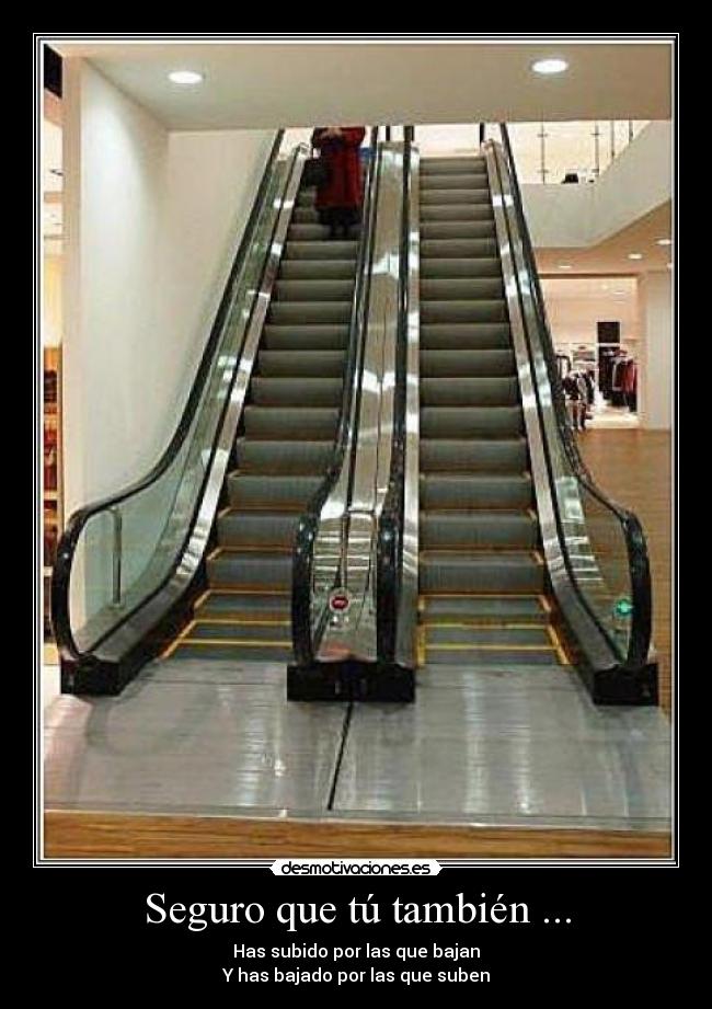 Seguro que tú también ... -