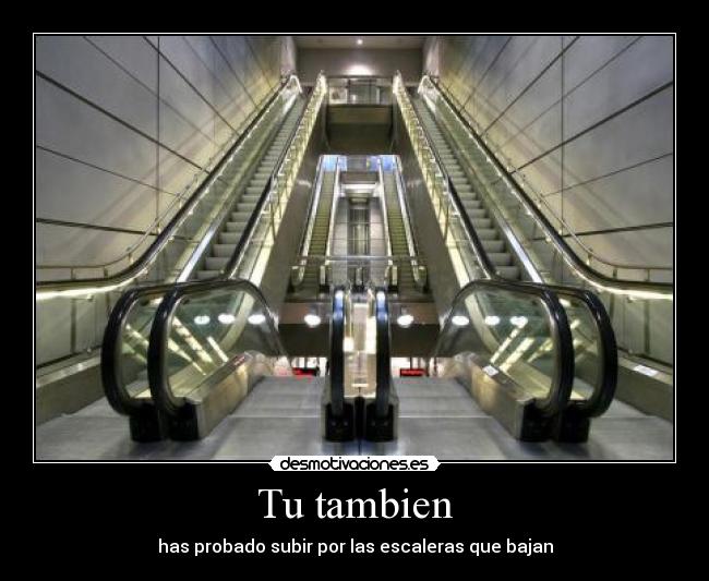 Tu tambien -