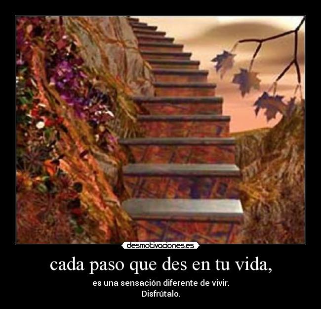 carteles vida escalera desmotivaciones