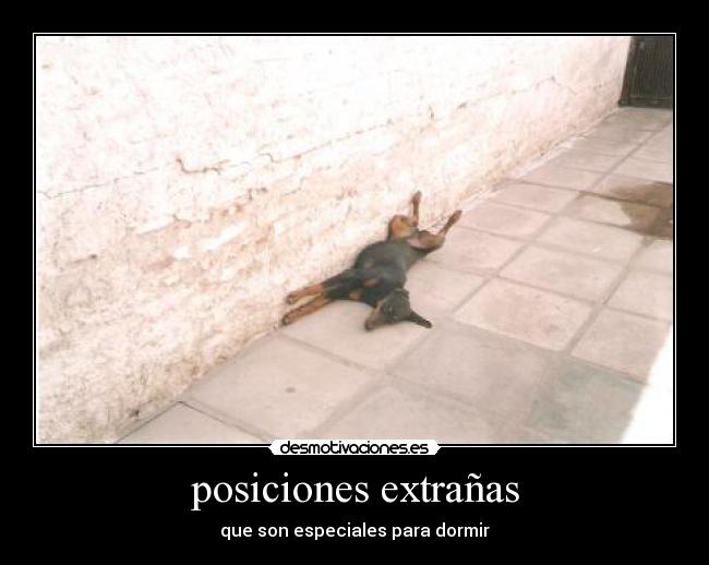 posiciones extrañas - que son especiales para dormir