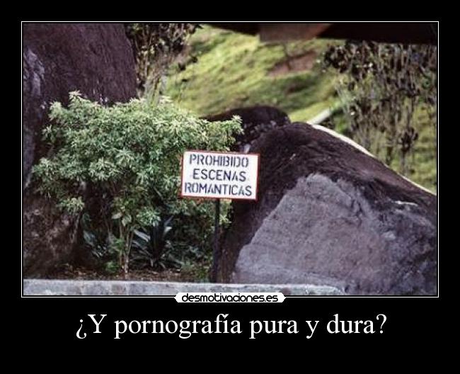 ¿Y pornografía pura y dura? -
