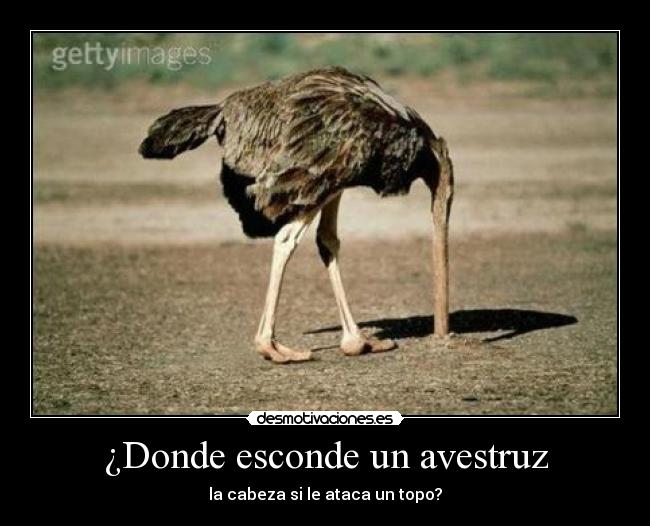 ¿Donde esconde un avestruz -