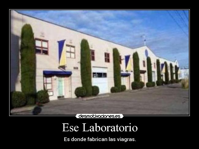 Ese Laboratorio - 