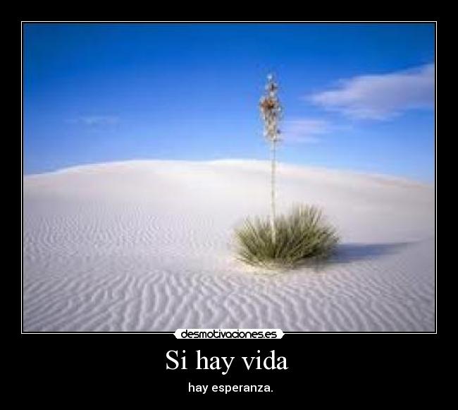 carteles vida vida esperanza rojo que desocupado que esto desmotivaciones