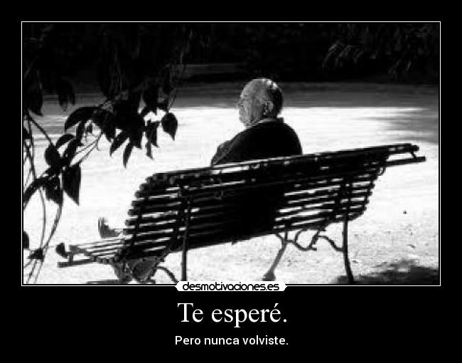 Te esperé. -