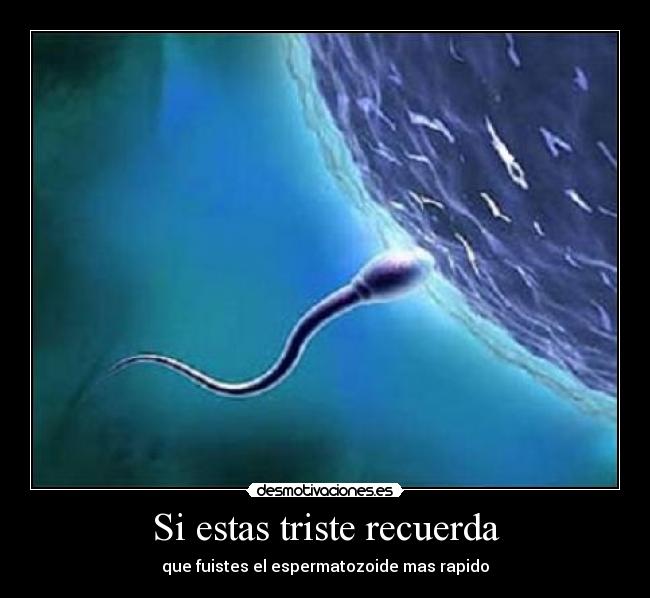 Si estas triste recuerda - que fuistes el espermatozoide mas rapido