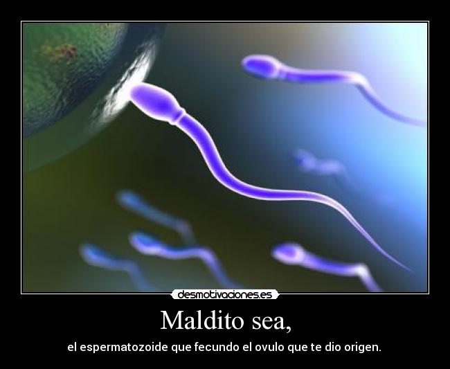 Maldito sea, -