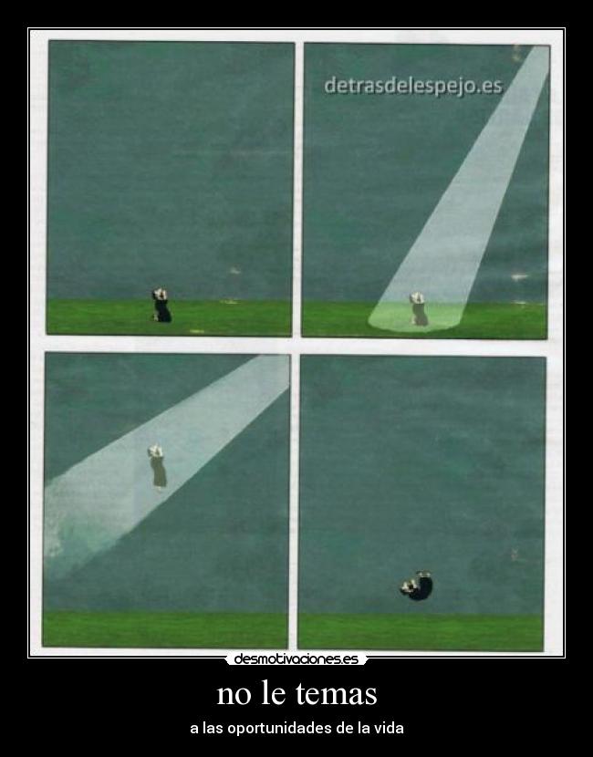 no le temas -