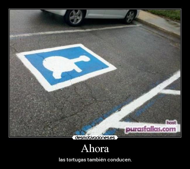 Ahora - las tortugas también conducen.