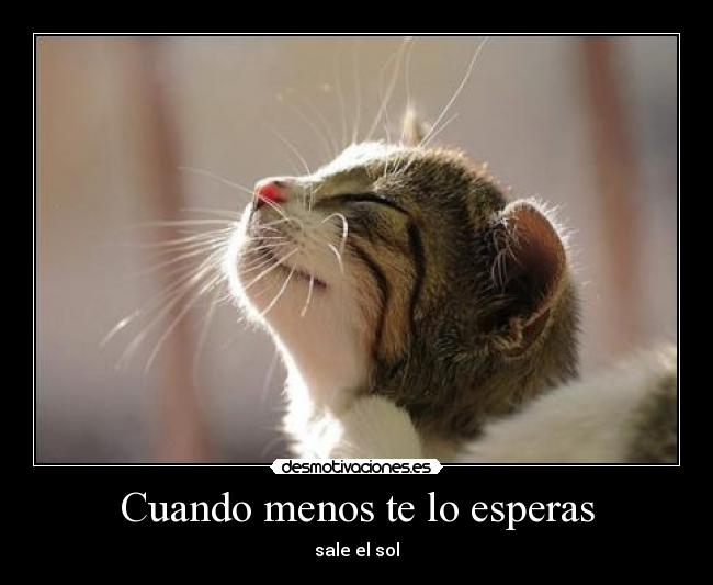 carteles sol desmotivaciones