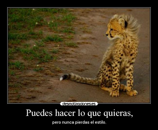 Puedes hacer lo que quieras, - 