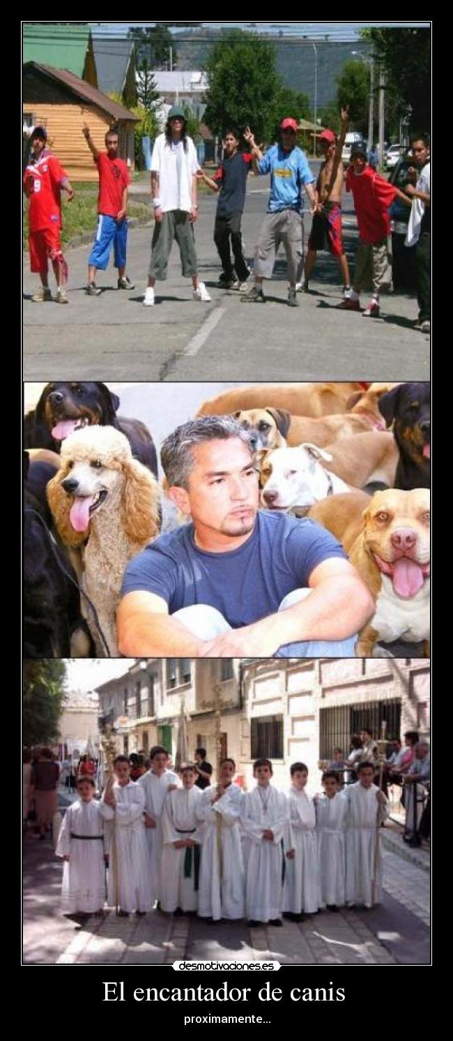 El encantador de canis -