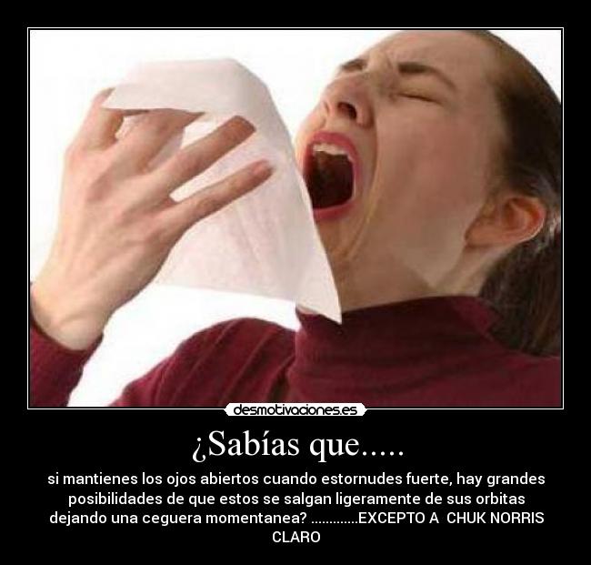 ¿Sabías que..... - si mantienes los ojos abiertos cuando estornudes fuerte, hay grandes
posibilidades de que estos se salgan ligeramente de sus orbitas
dejando una ceguera momentanea? .............EXCEPTO A  CHUK NORRIS
CLARO