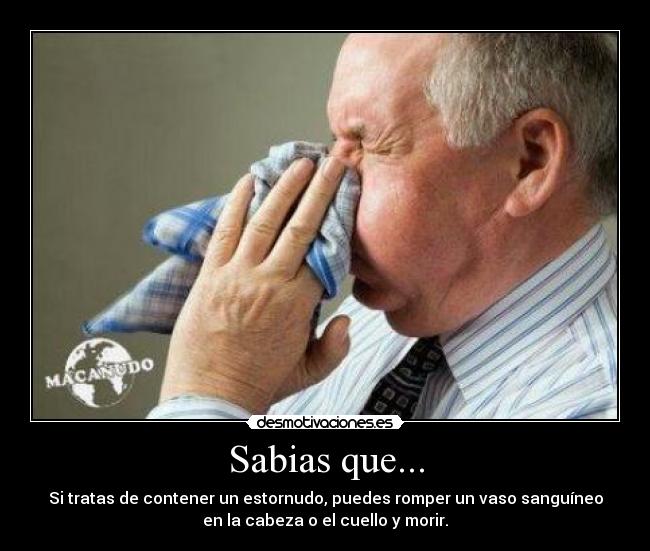Sabias que... - Si tratas de contener un estornudo, puedes romper un vaso sanguíneo
en la cabeza o el cuello y morir.