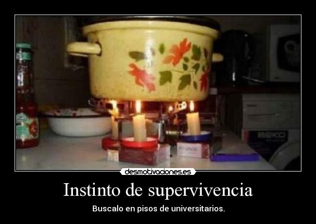 Instinto de supervivencia - Buscalo en pisos de universitarios.