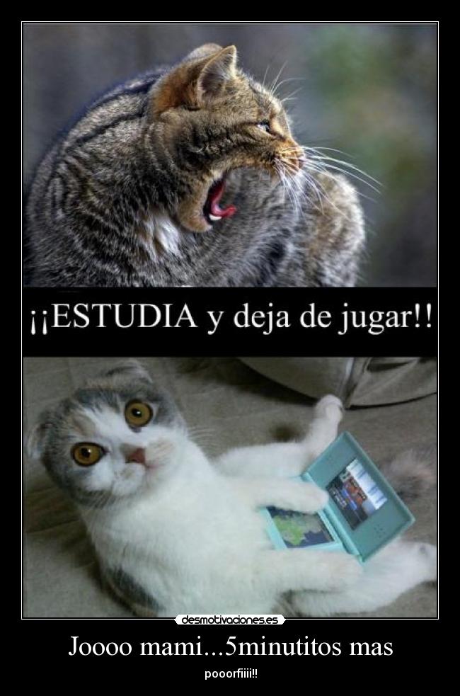Joooo mami...5minutitos mas -