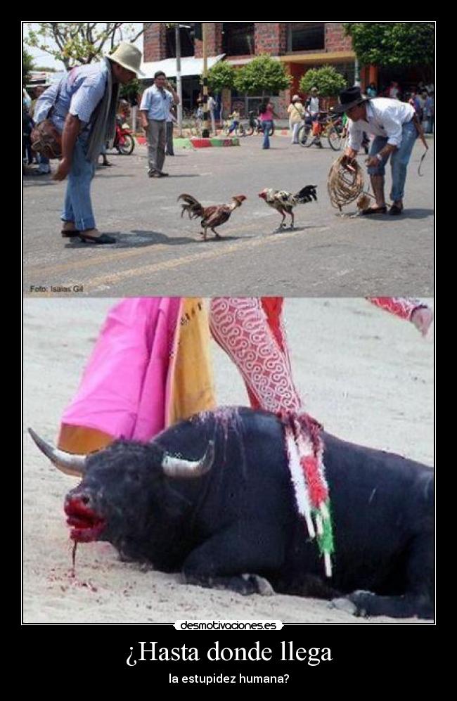 ¿Hasta donde llega - 