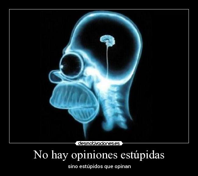 No hay opiniones estúpidas - 