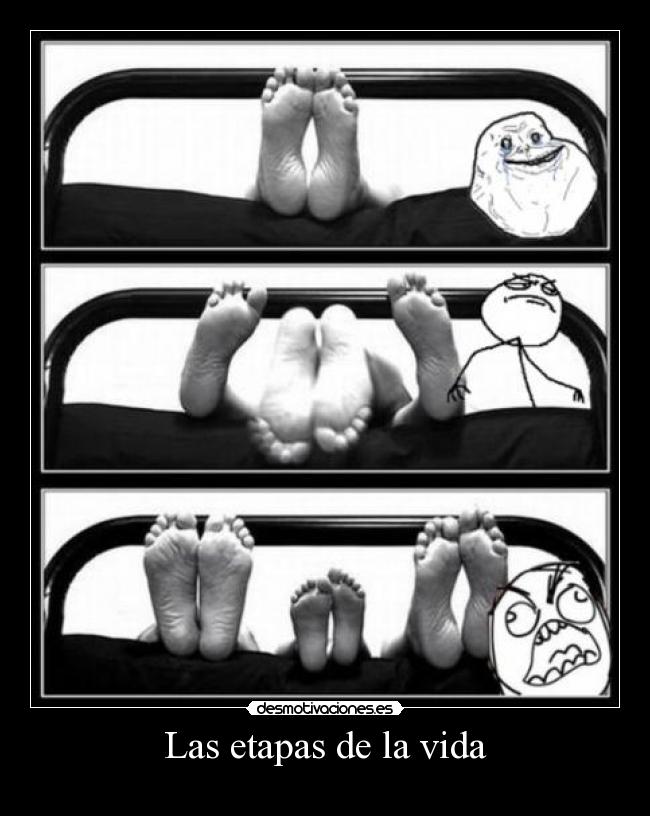 Las etapas de la vida -