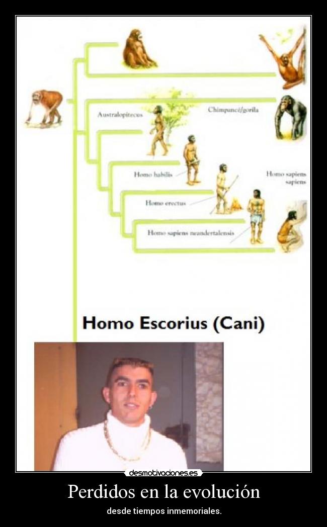 Perdidos en la evolución - 