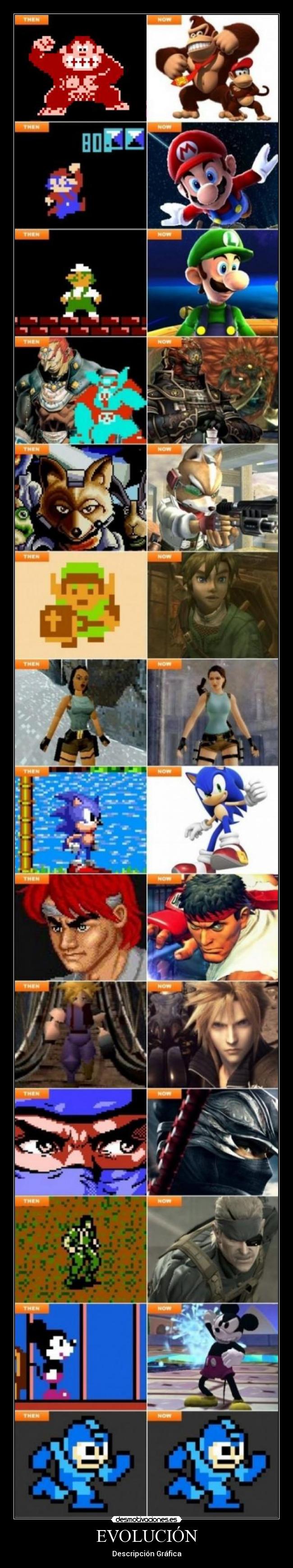 EVOLUCIÓN - Descripción Gráfica