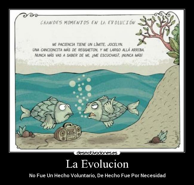 La Evolucion - 
