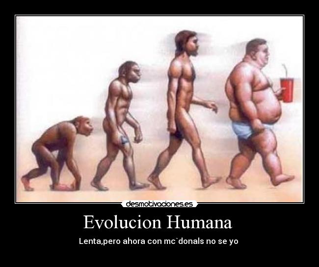 Evolucion Humana -