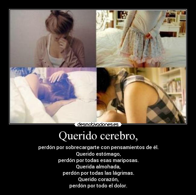 carteles perdon corazon cerebro estomago almohada desmotivaciones