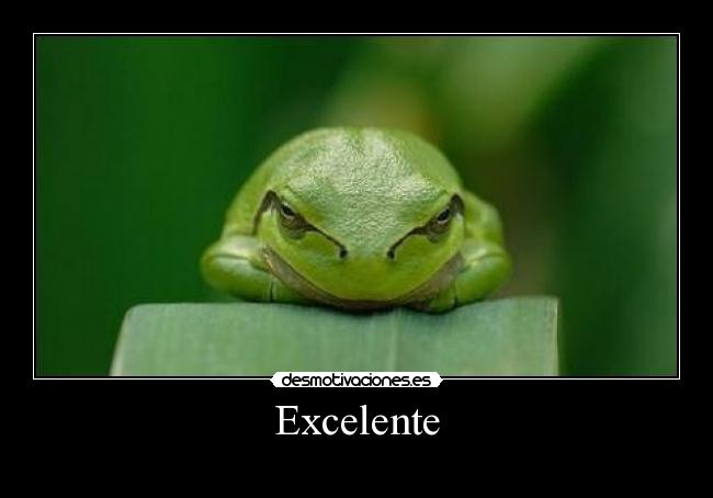 Excelente -