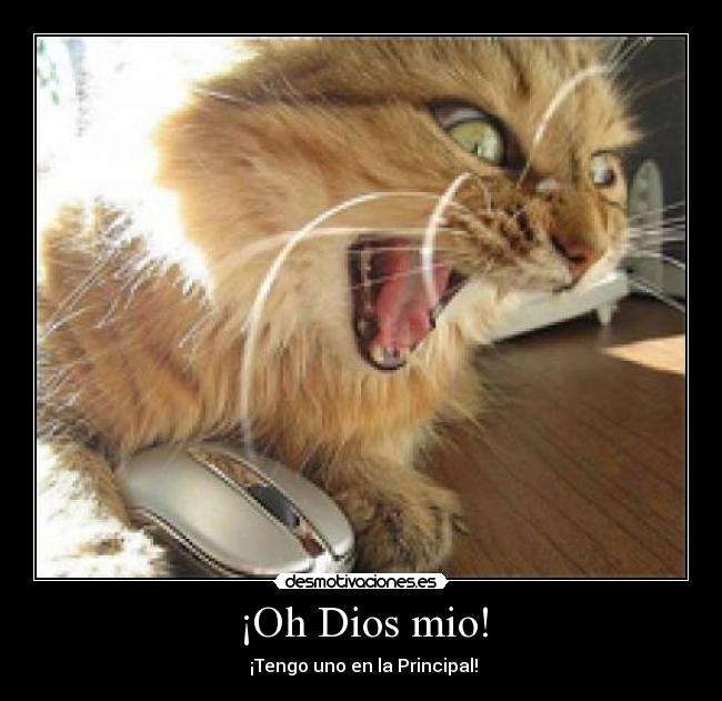 ¡Oh Dios mio! -