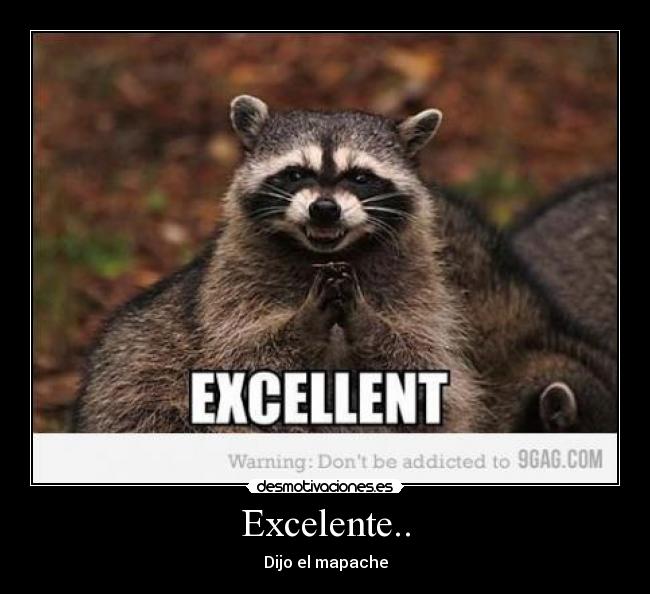 Excelente.. - Dijo el mapache