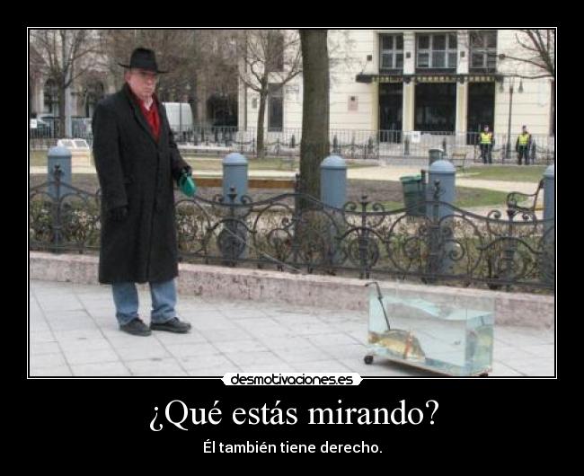 ¿Qué estás mirando? - Él también tiene derecho.